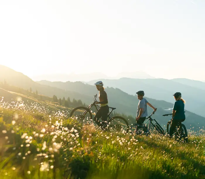 drei Personen stehen mit Fahrrad in der Wiese