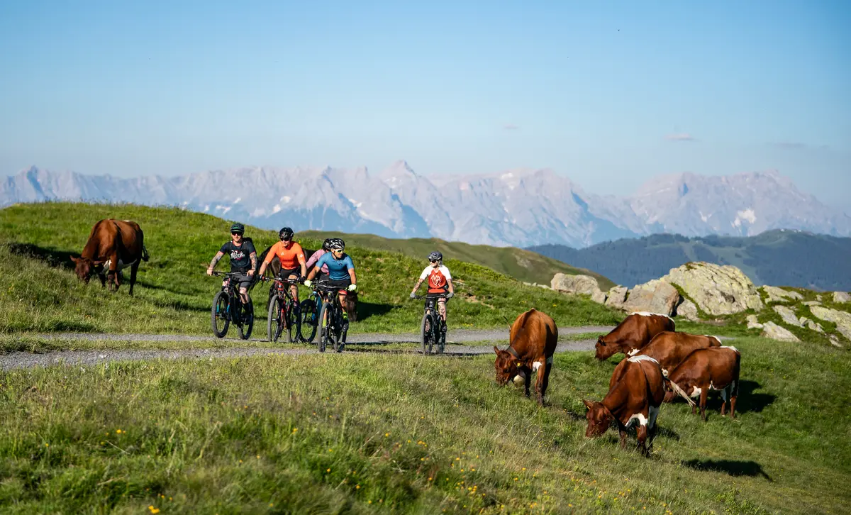 Mountainbike Strecke in Saalbach-Hinterglemm | © saalbach.com, Stefan Voitl