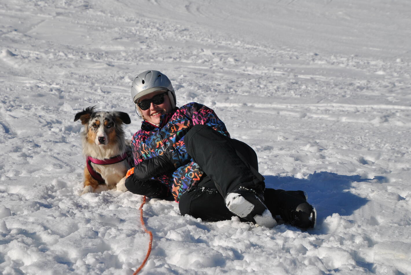 Skiing holiday with dog in Salzburg